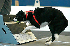 010706A 318